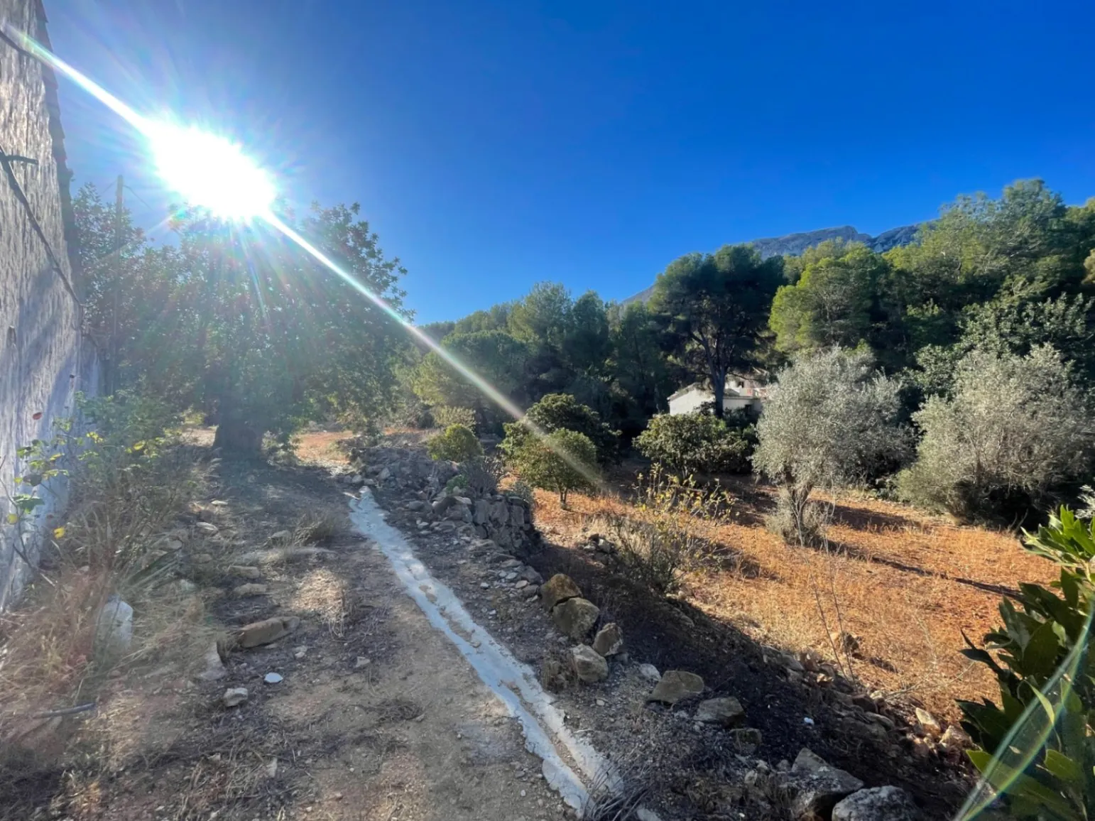 Casa de campo en zona Rotas con parcela de 12000m2.