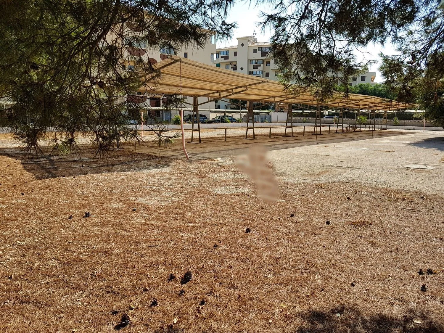 Solar Las Marinas