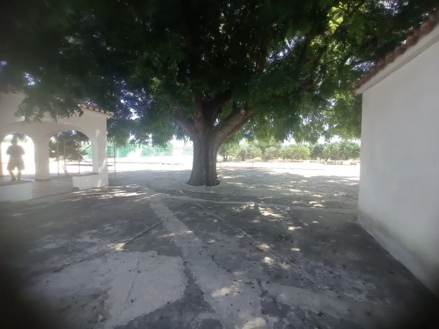Chalet en venta en las marinas con amplia parcela y piscina
