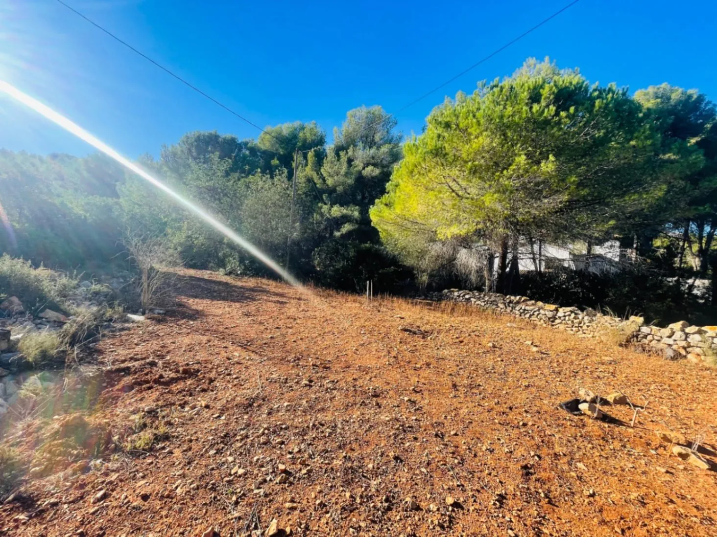 Casa de campo en zona Rotas con parcela de 12000m2.