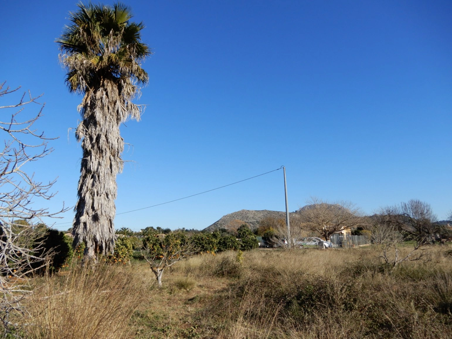 Parcela en Venta en Zona Golf Pedreguer
