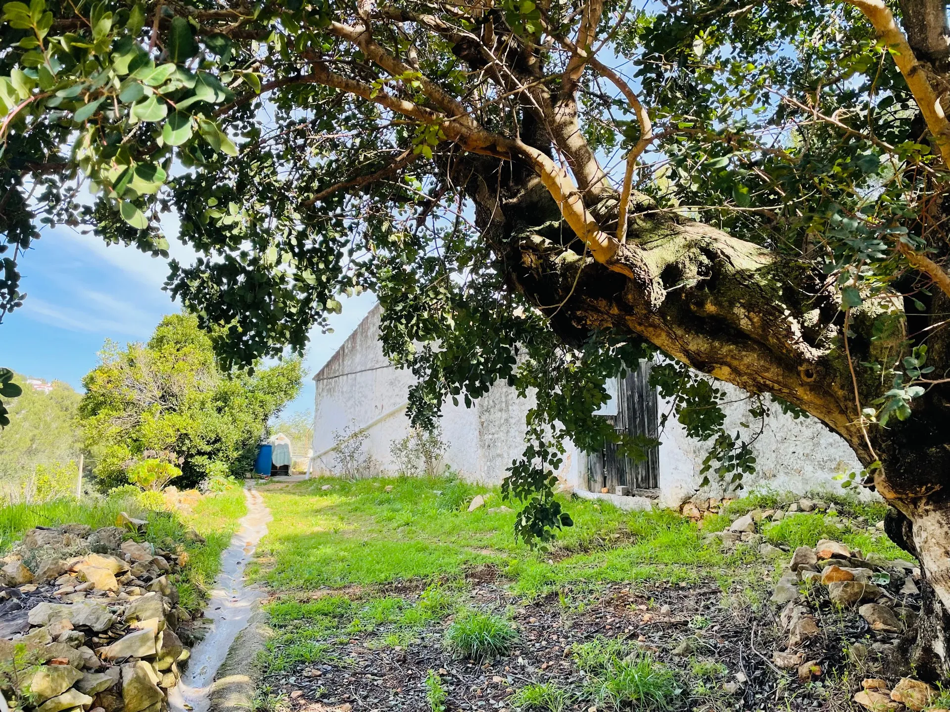 Casa de campo en zona Rotas con parcela de 12000m2.