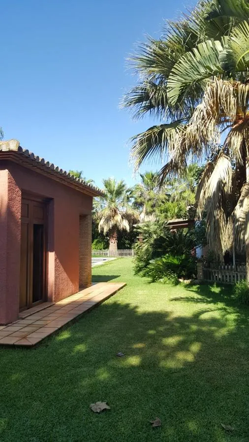 Ondara. Finca amplia en venta