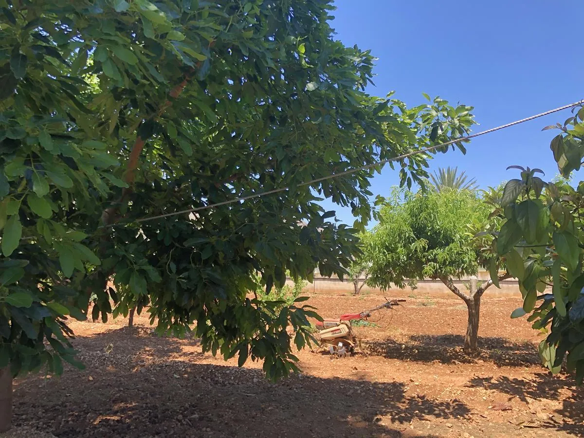Ondara. Casa de campo amplia con piscina en venta