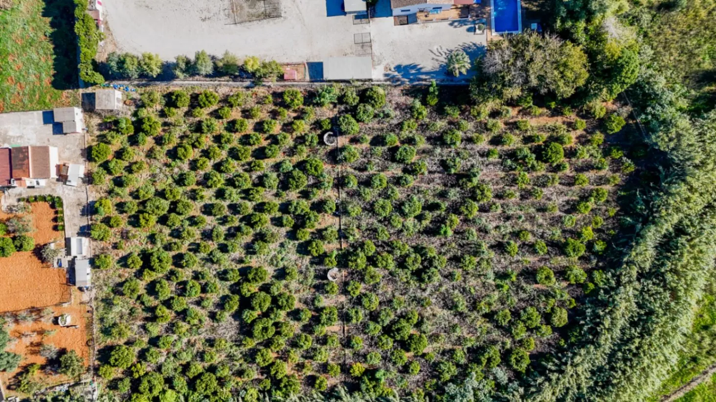 Gran finca rústica compuesta por dos casas y con cuadras para caballos.
