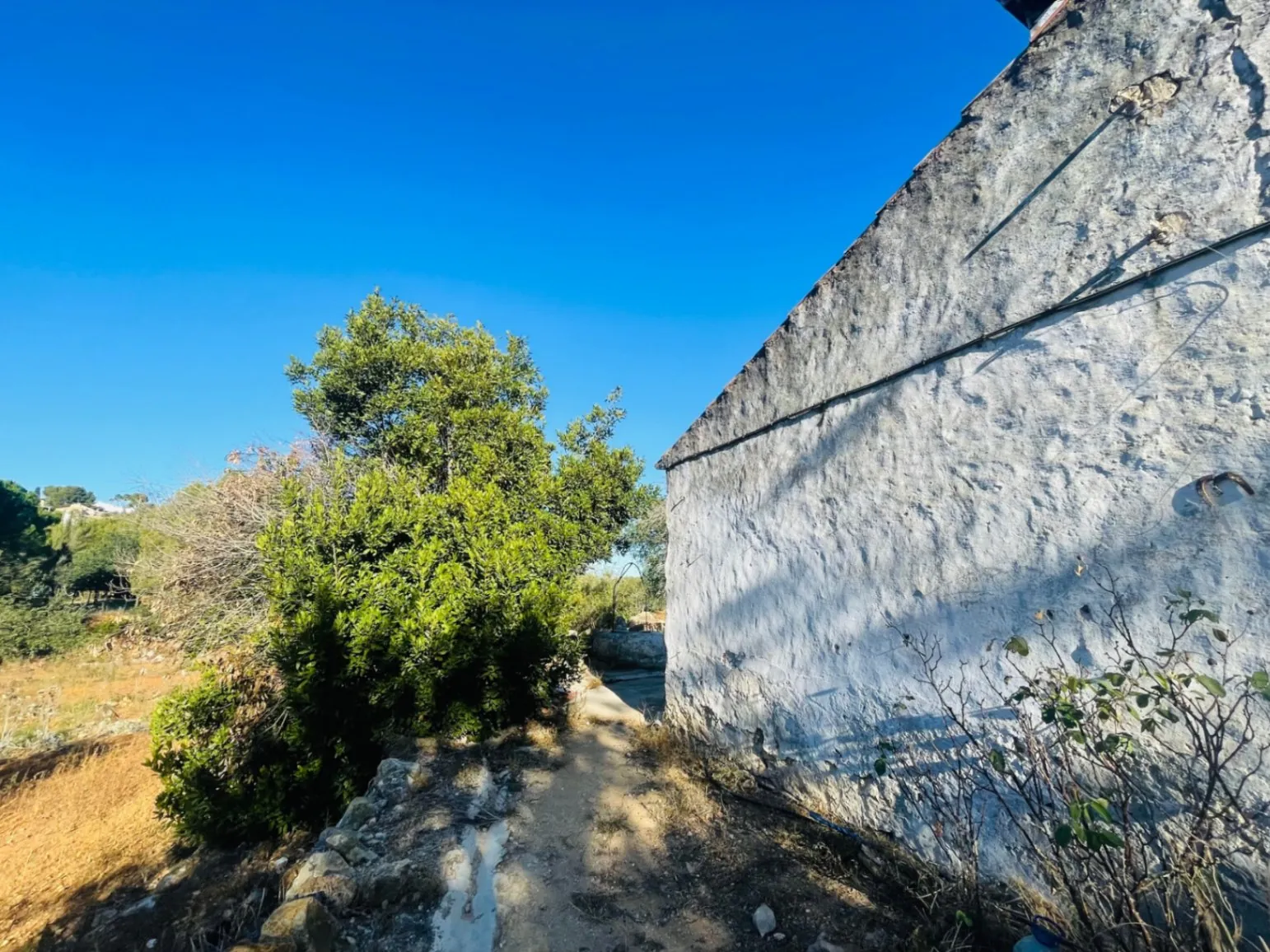 Casa de campo en zona Rotas con parcela de 12000m2.