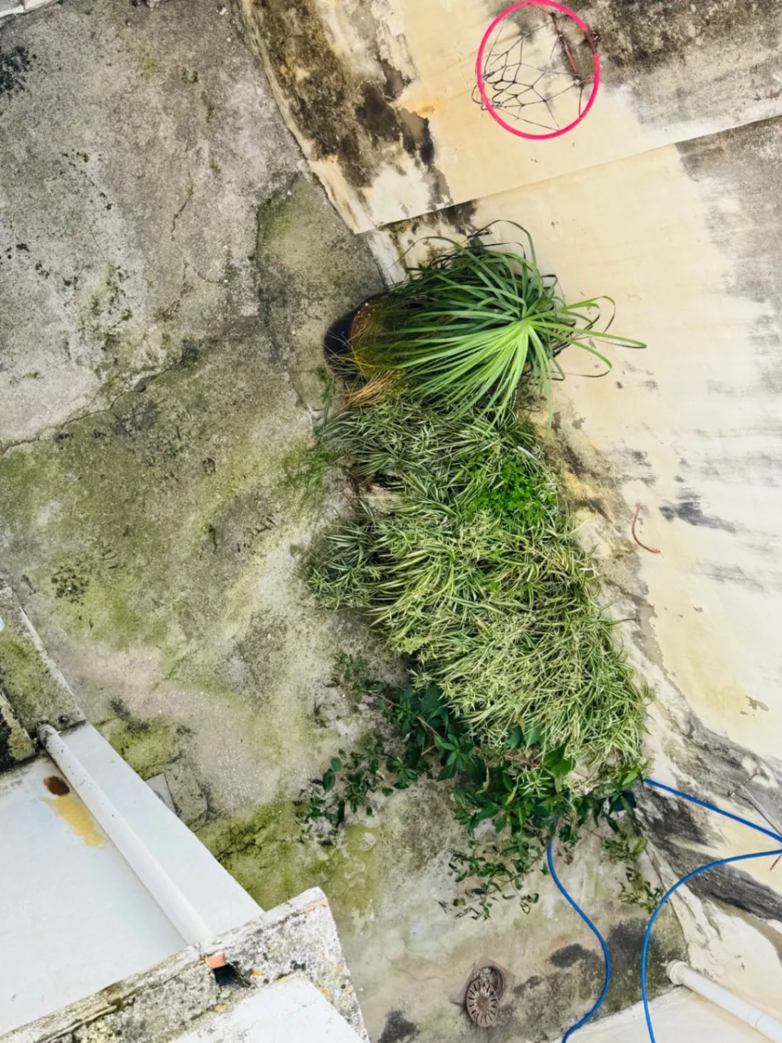 Casa de dos plantas en el centro de Orba (Alicante)