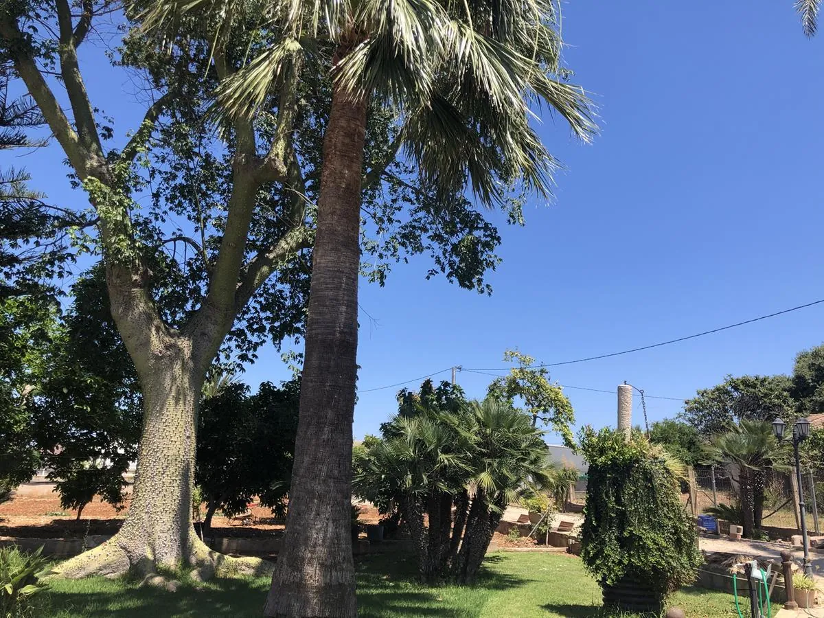 Ondara. Casa de campo amplia con piscina en venta