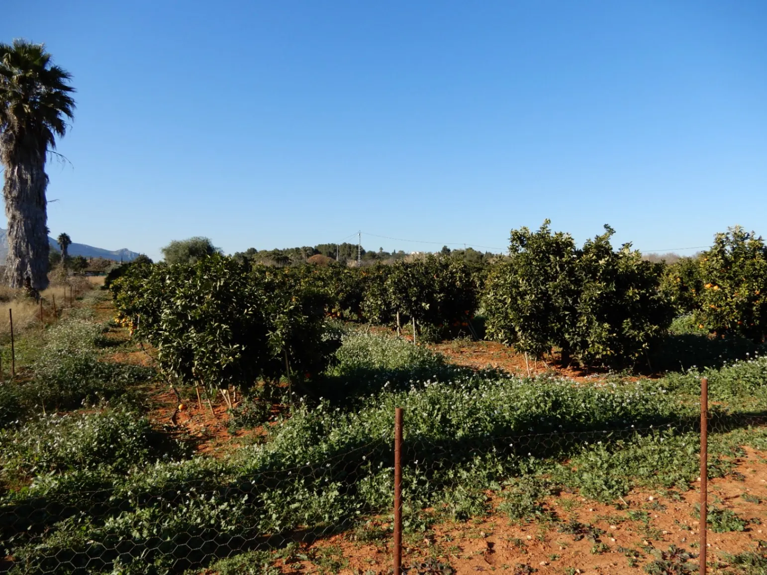 Parcela en Venta en Zona Golf Pedreguer