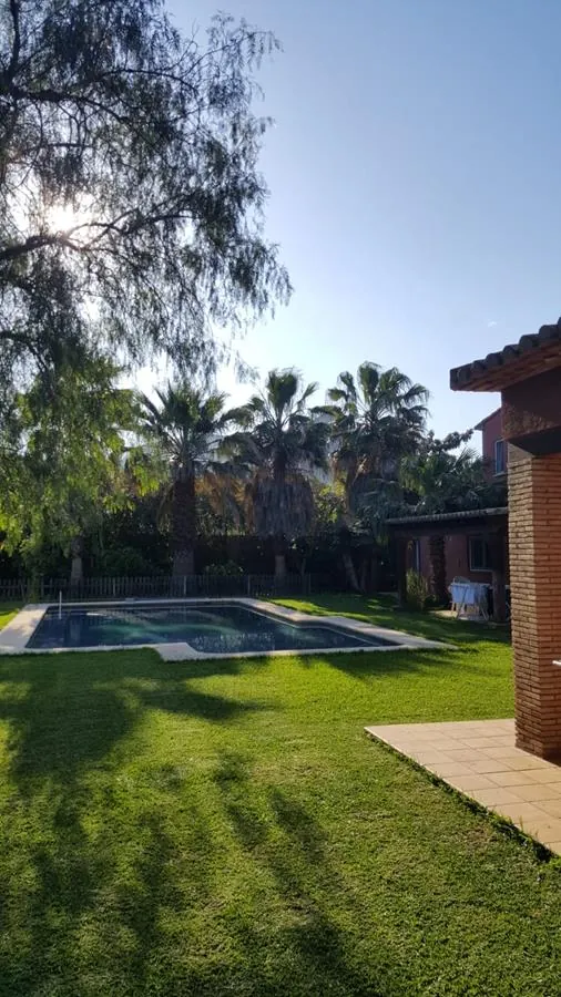 Ondara. Finca amplia en venta