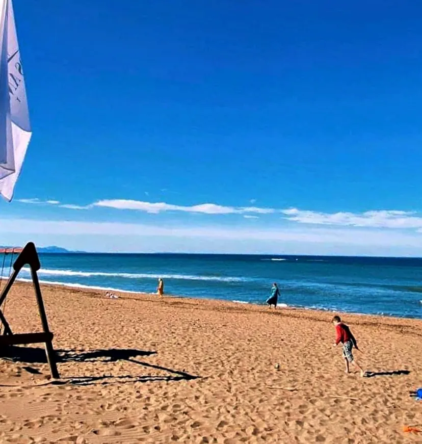 Locaux commerciaux à vente à Dénia