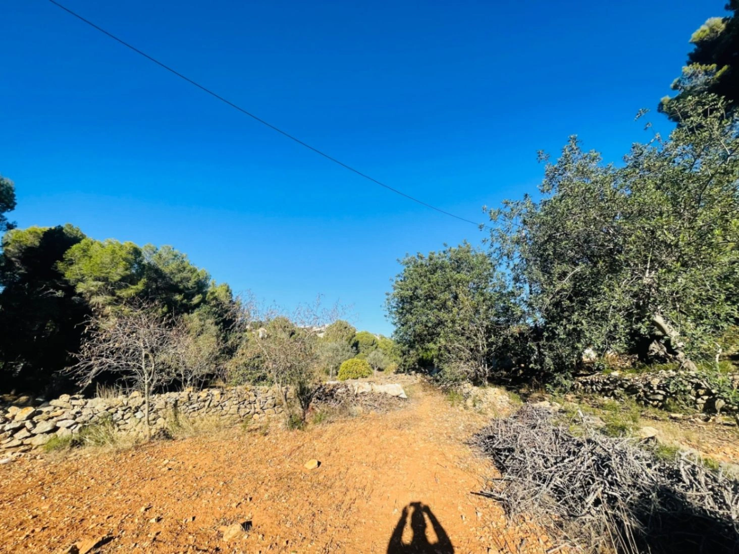 Casa de campo en zona Rotas con parcela de 12000m2.