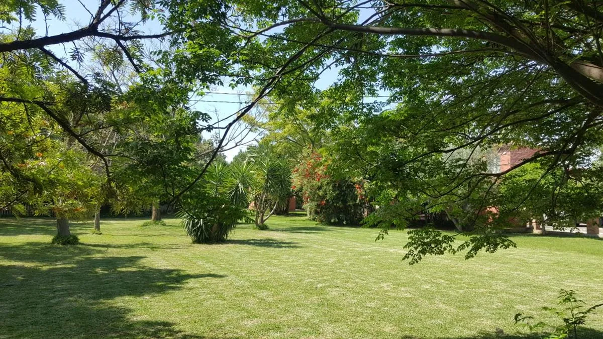 Ondara. Finca amplia en venta