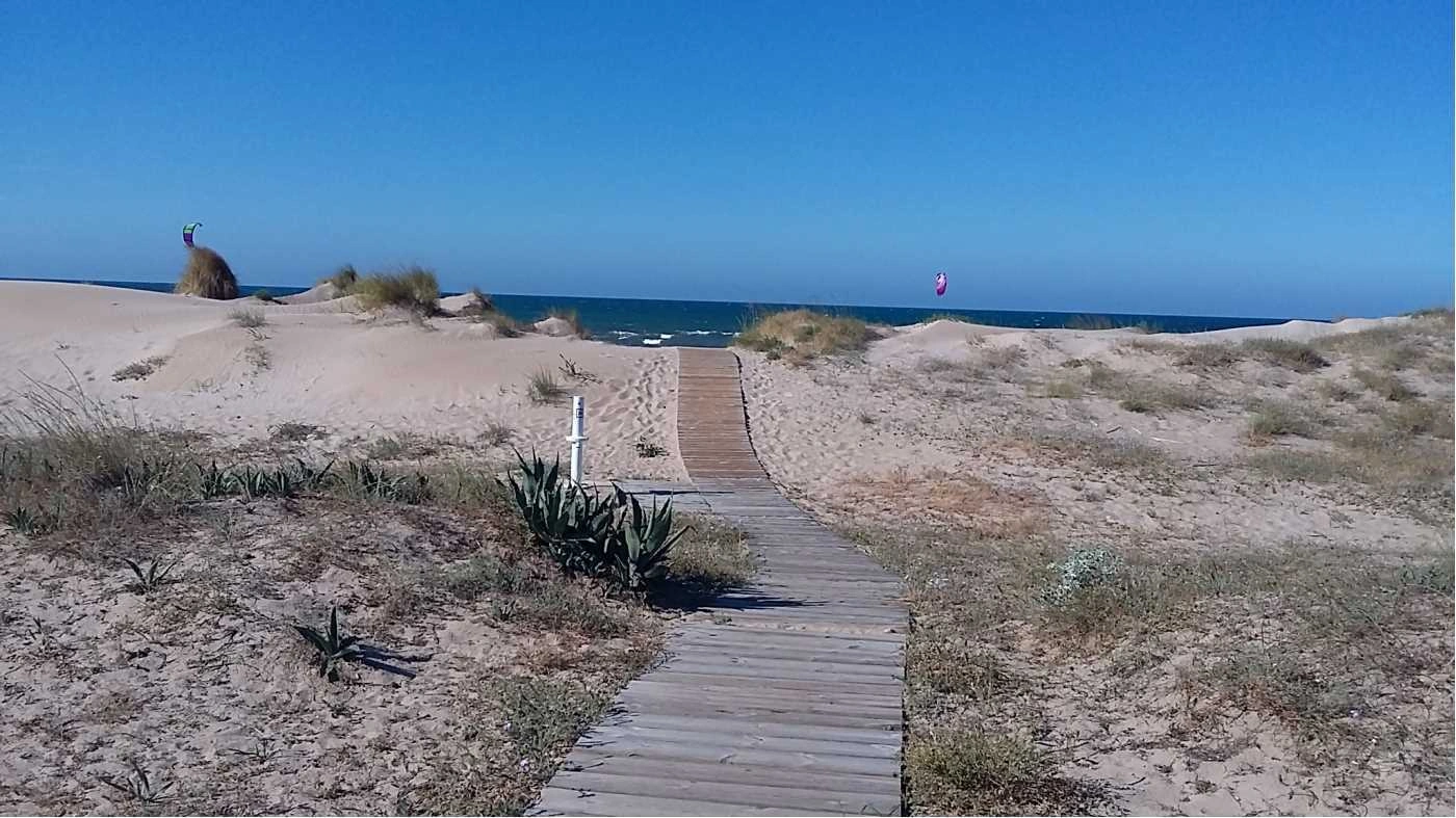 Villa en Oliva en venta