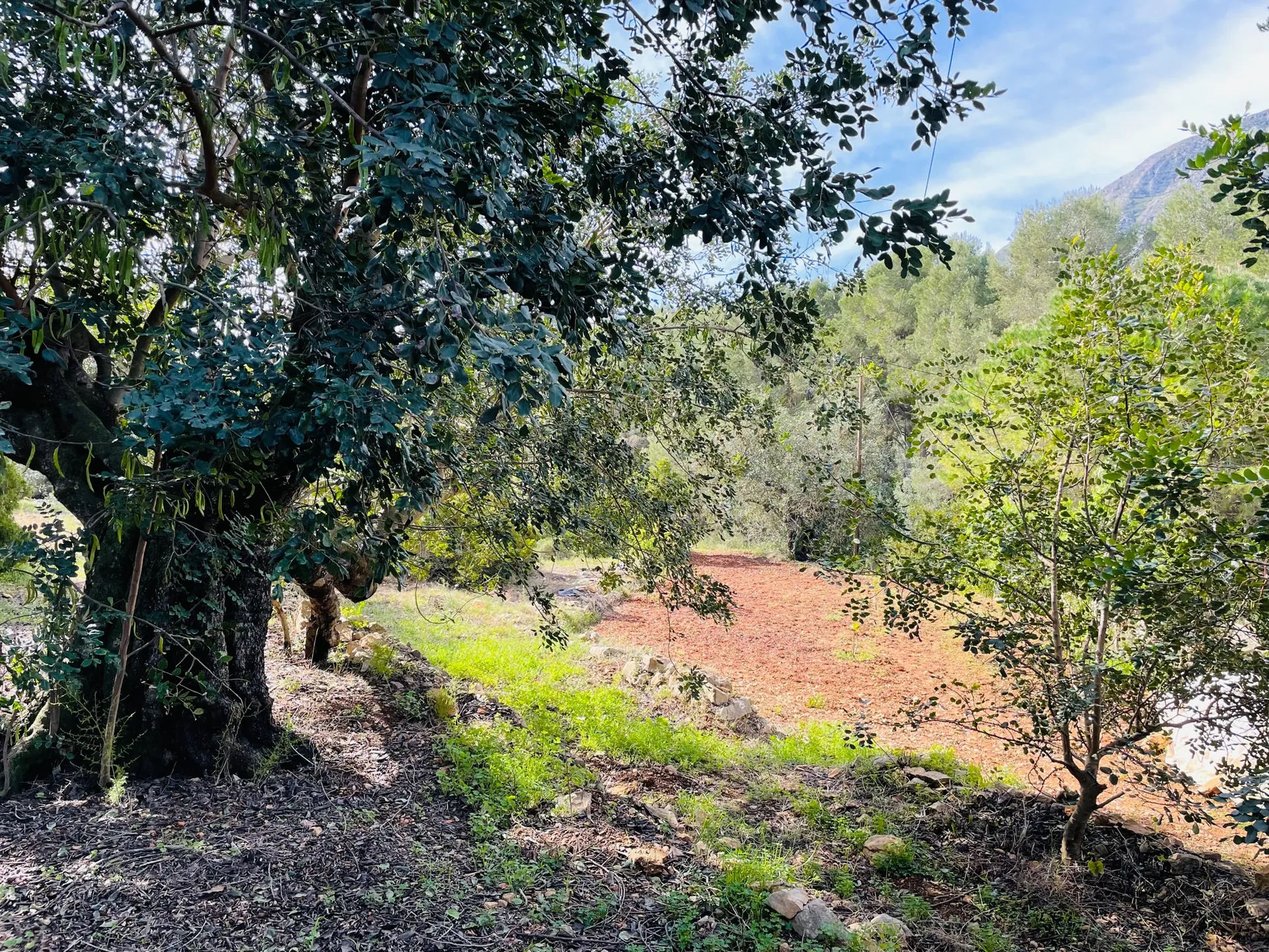 Casa de campo en zona Rotas con parcela de 12000m2.