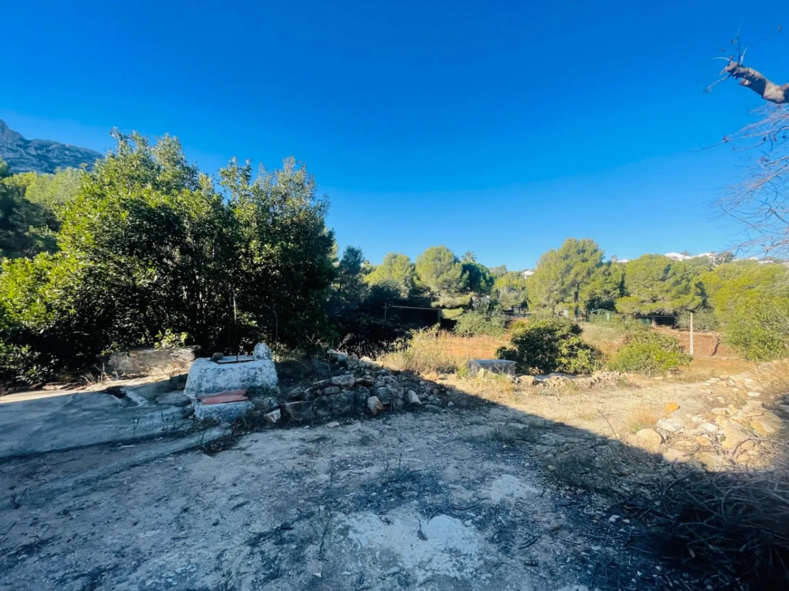 Casa de campo en zona Rotas con parcela de 12000m2.