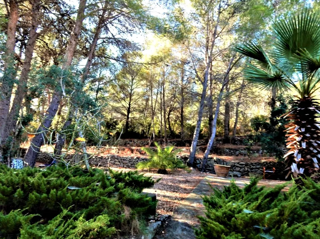 Chalet en La Sella