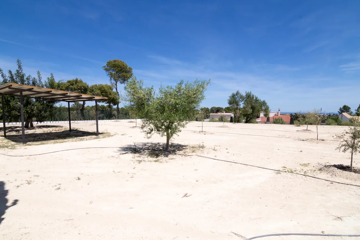 Gran finca en venta en Dénia en la zona de Torrecarrals.