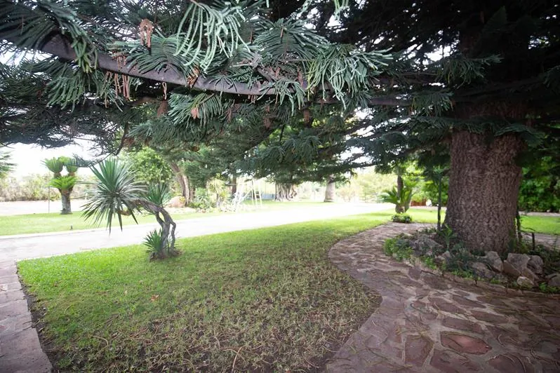 Venta Parcela urbana y Chalet