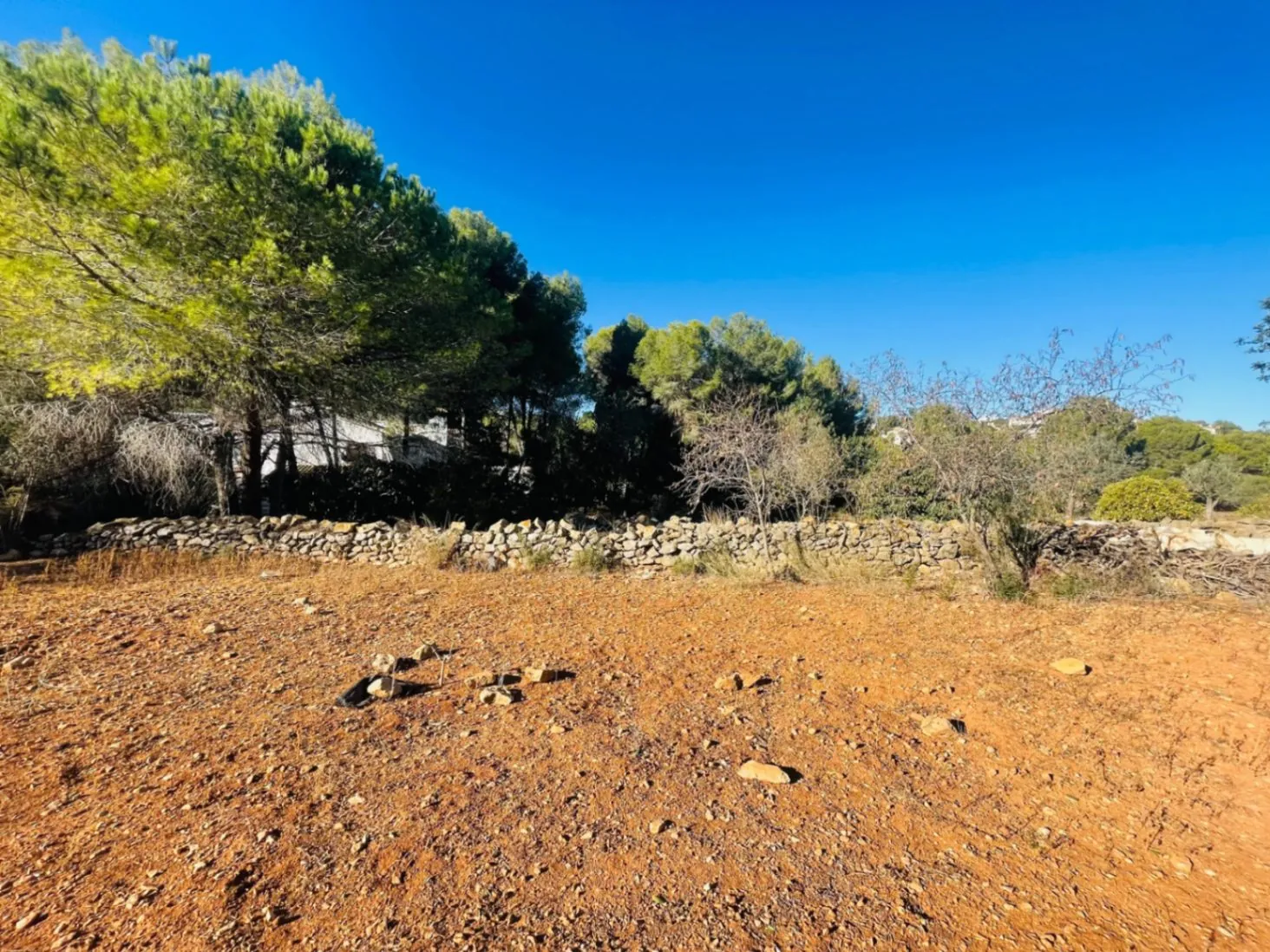 Casa de campo en zona Rotas con parcela de 12000m2.
