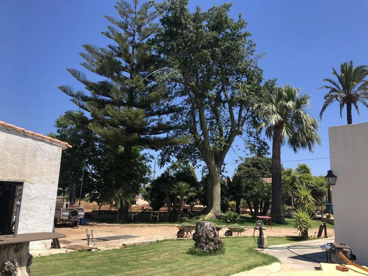 Ondara. Casa de campo amplia con piscina en venta