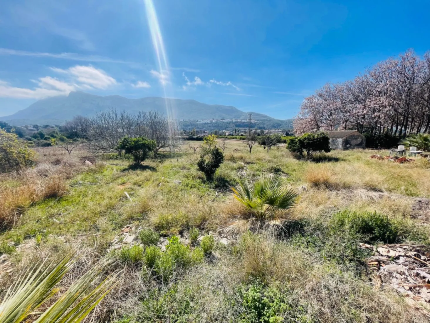 Casa de campo de 500 m2 en suelo urbano con parcela de 3500m2 en Denia zona Sta Paula