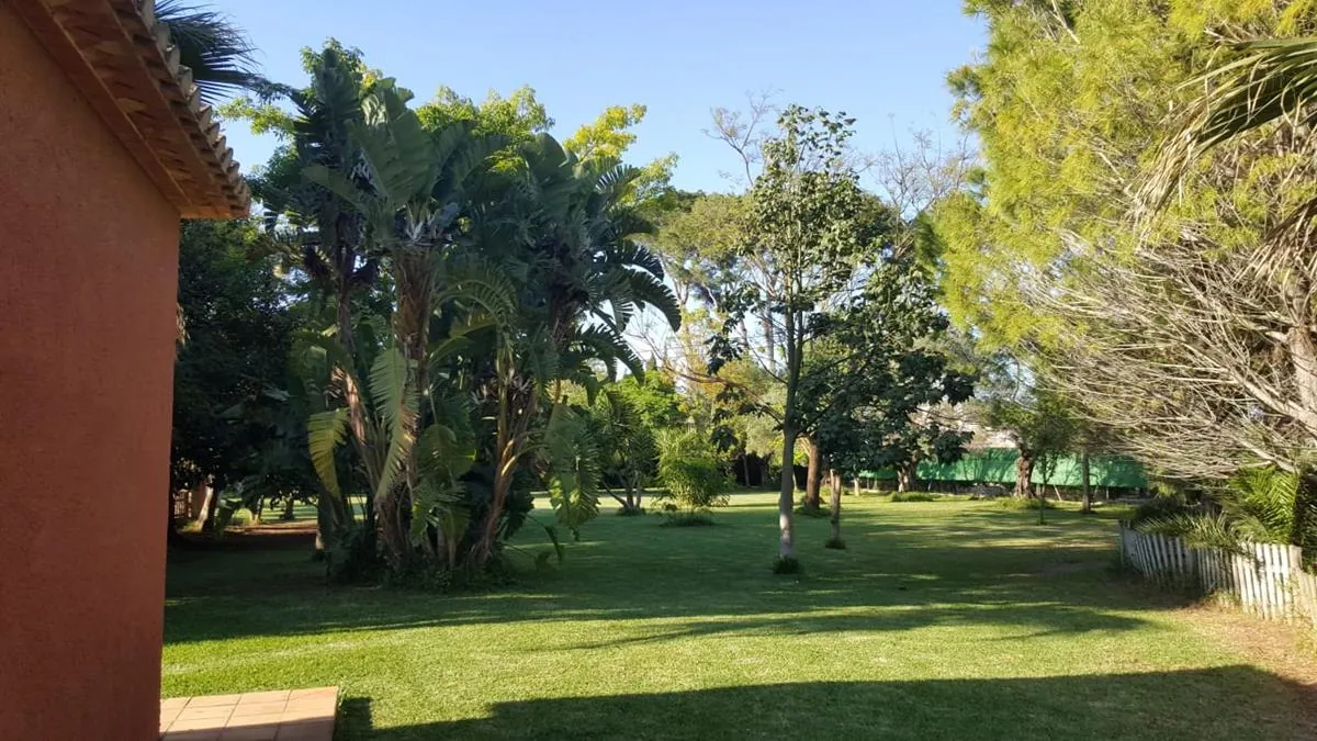 Ondara. Finca amplia en venta