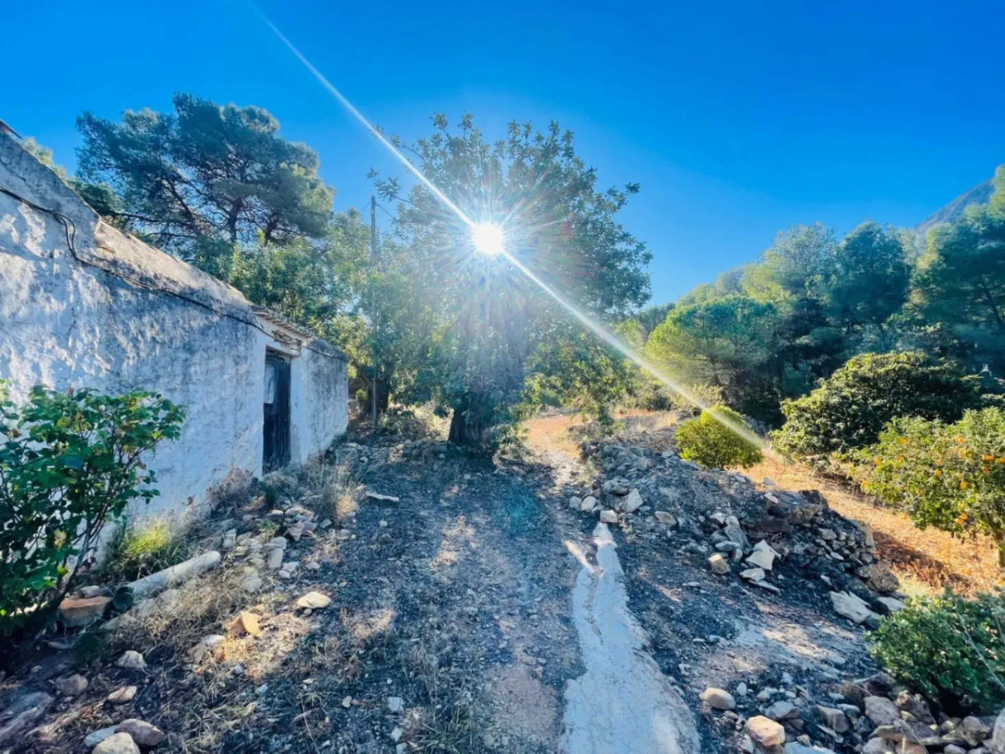 Casa de campo en zona Rotas con parcela de 12000m2.