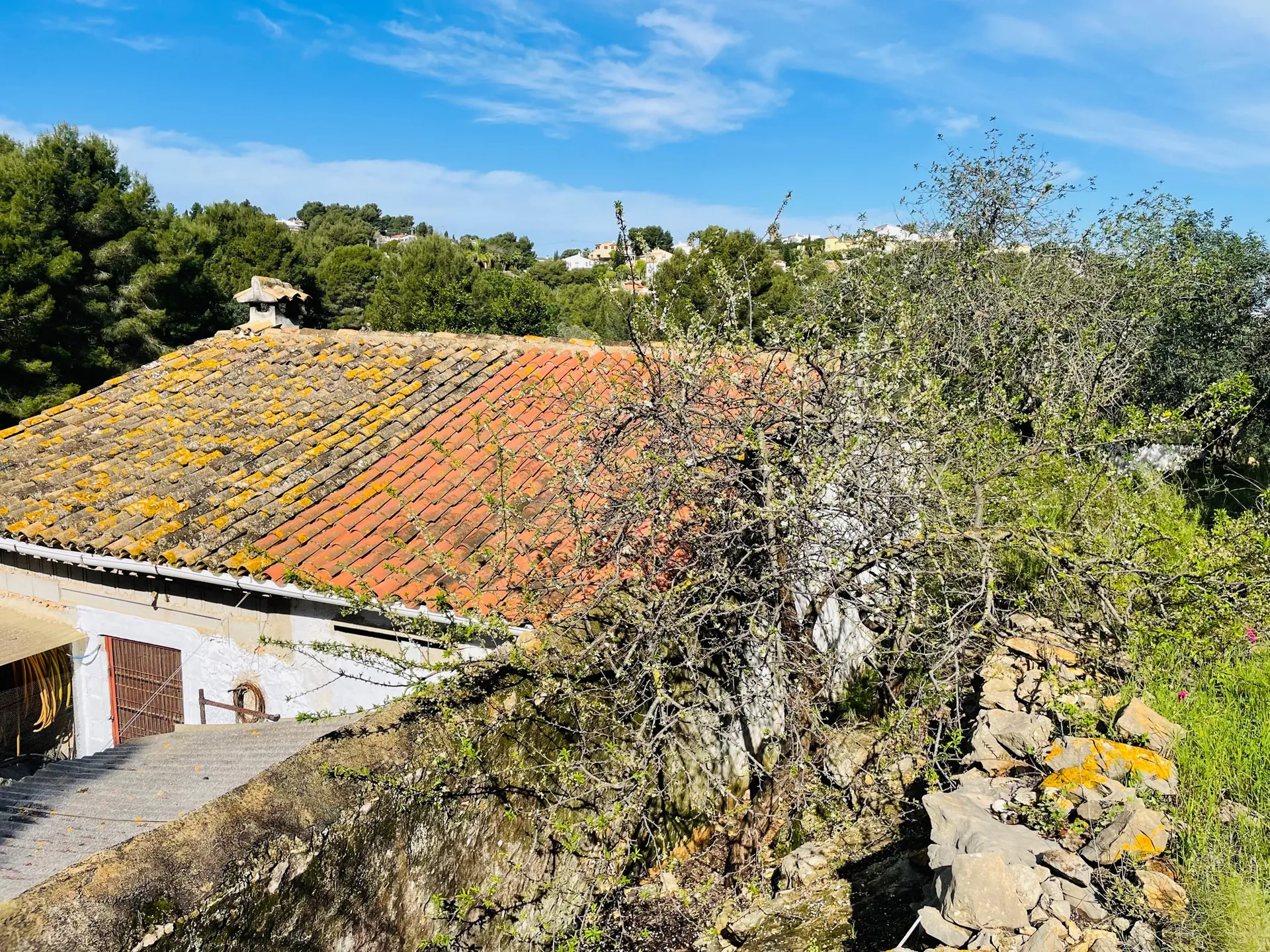 Casa de campo en zona Rotas con parcela de 12000m2.
