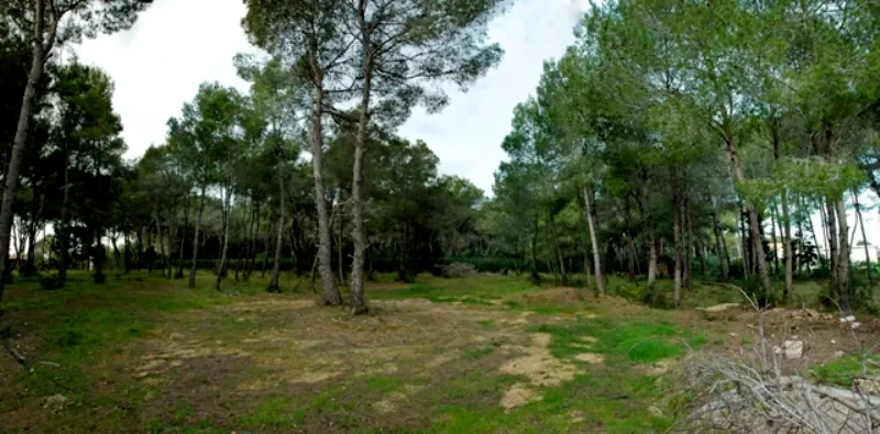 Villa de lujo en Torrecarrals.
