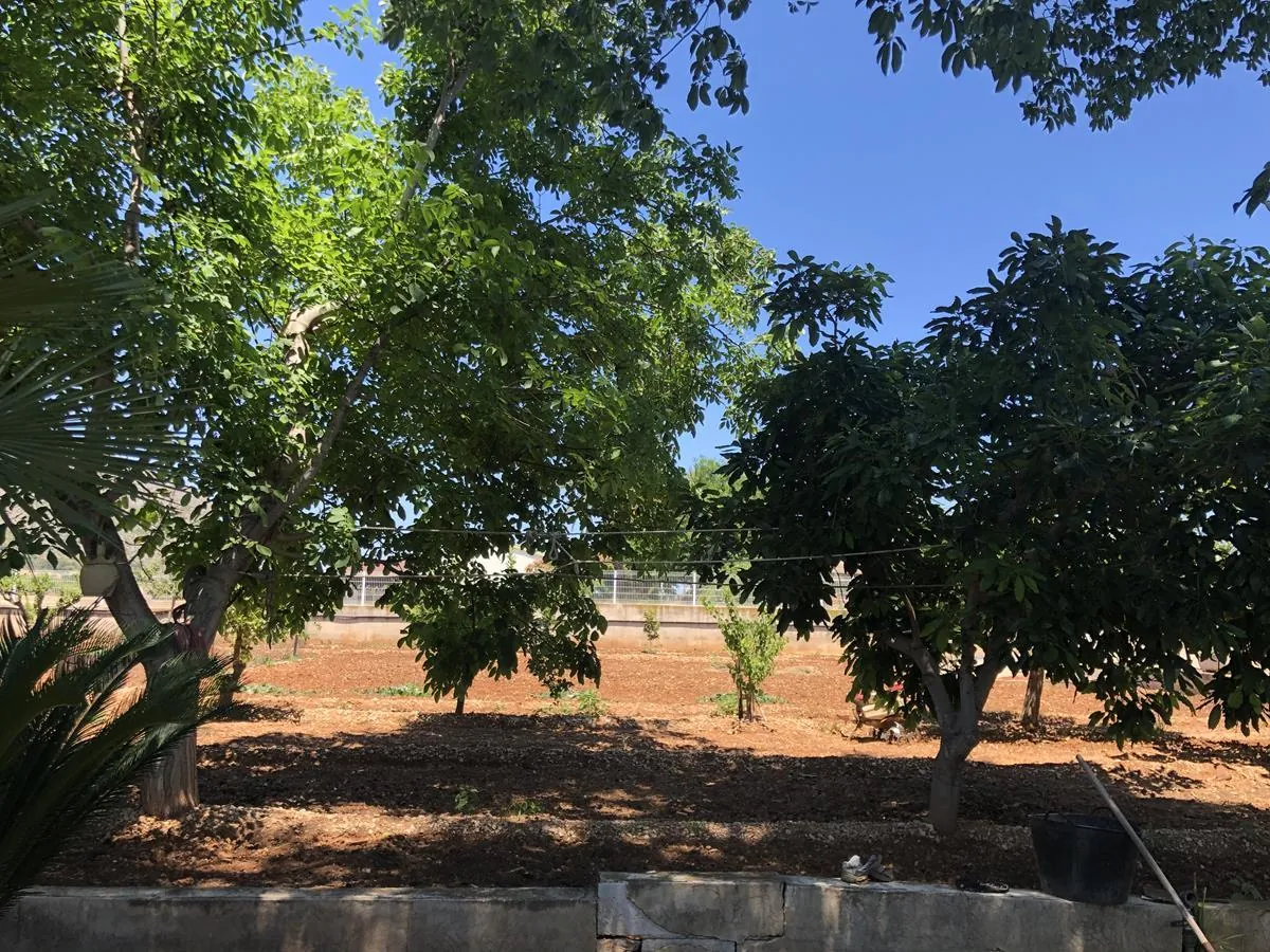 Ondara. Casa de campo amplia con piscina en venta