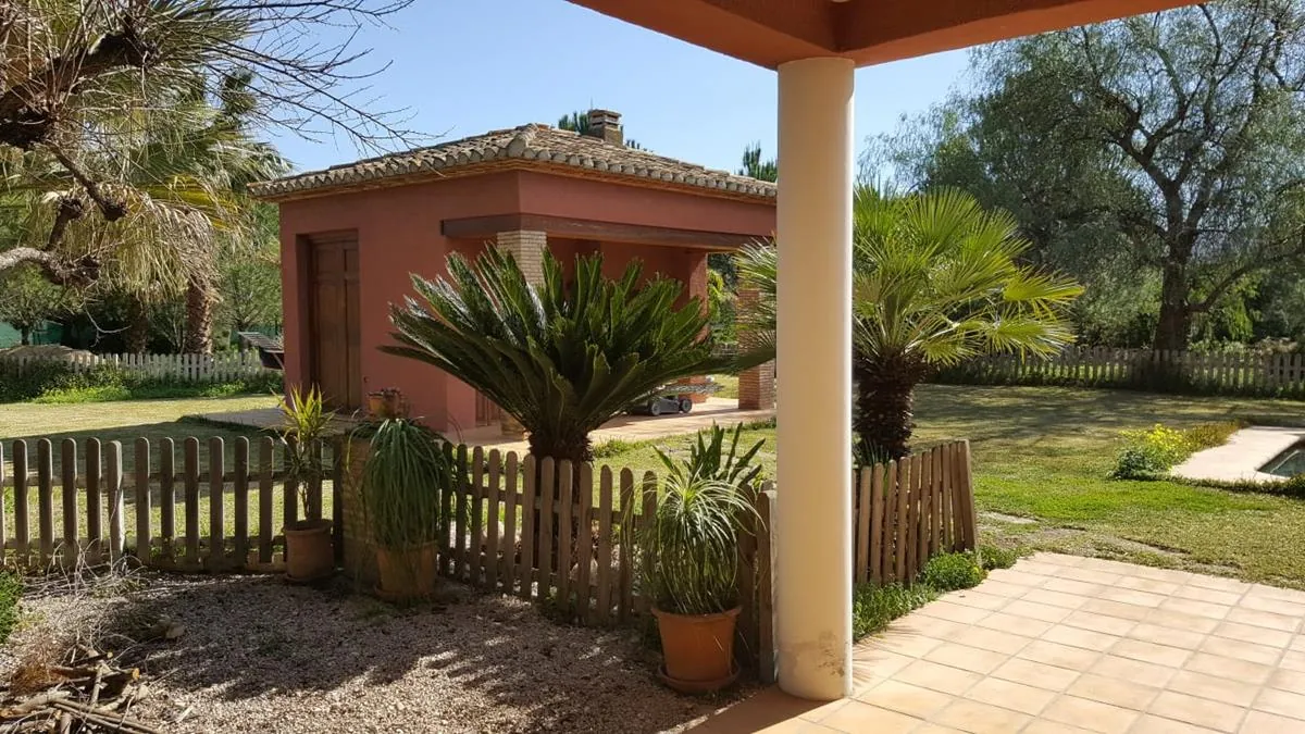 Ondara. Finca amplia en venta