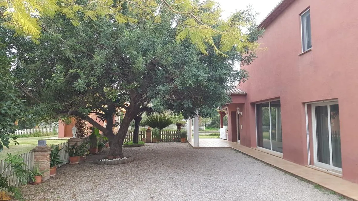 Ondara. Finca amplia en venta