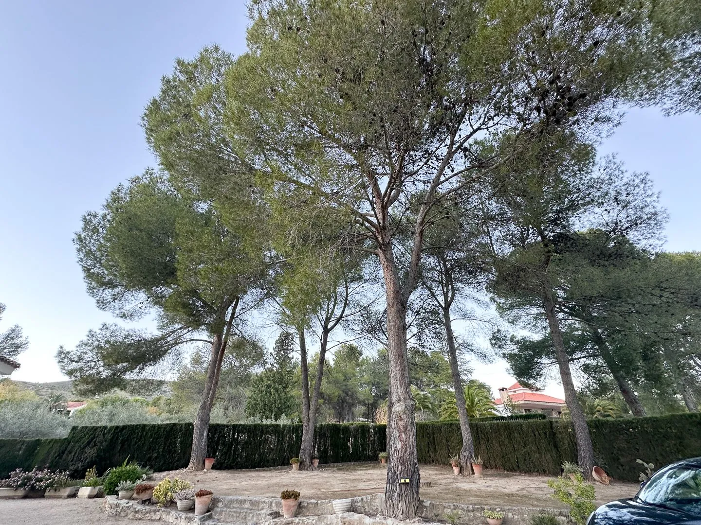 Villa en Ontinyent, con piscina y grandes espacios.