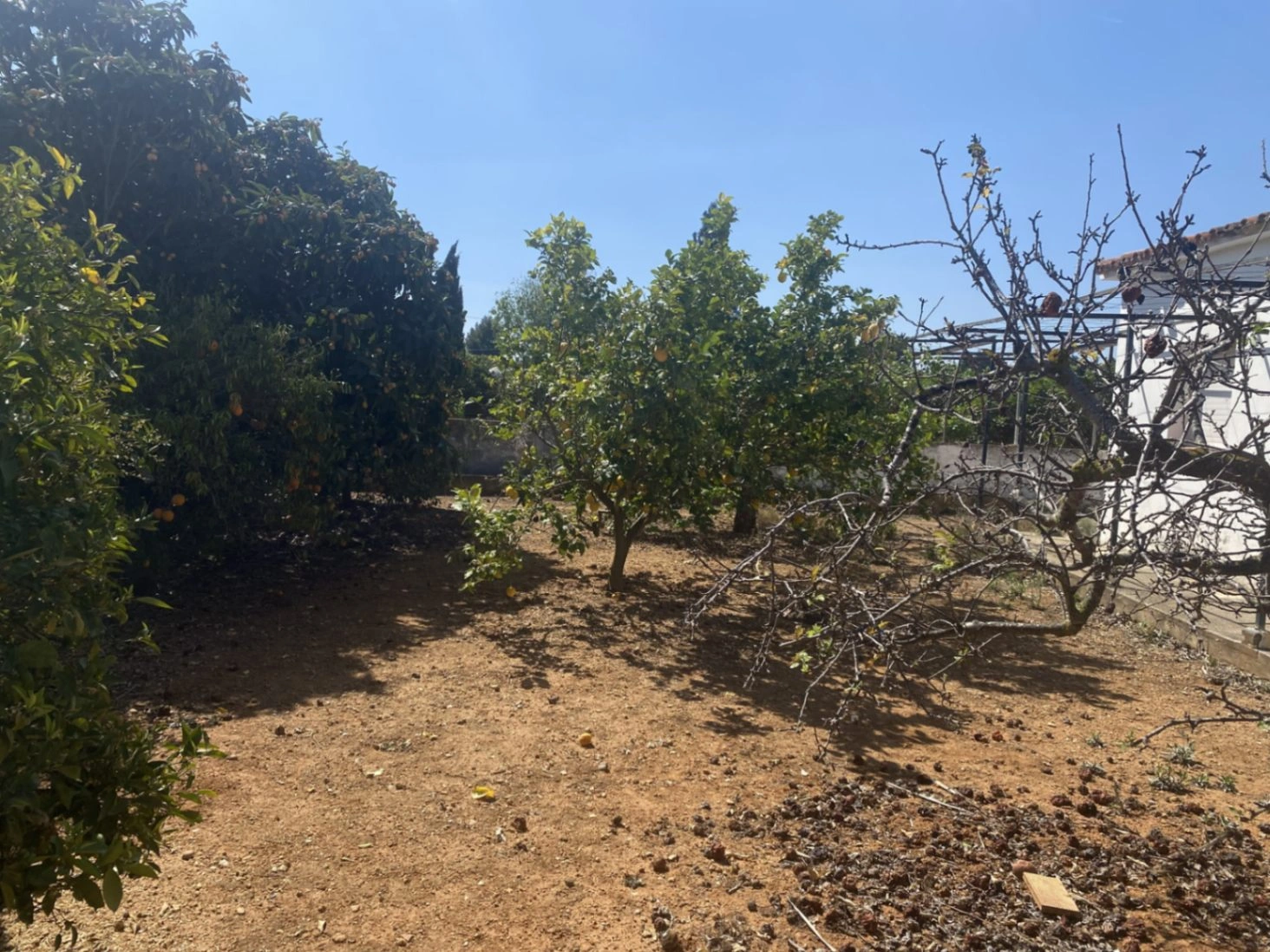 Chalet en Beniadla, Denia