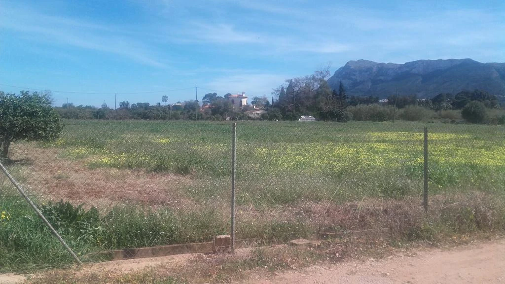 PARCELA GRANDE CON LUZ Y AGUA EN DENIA