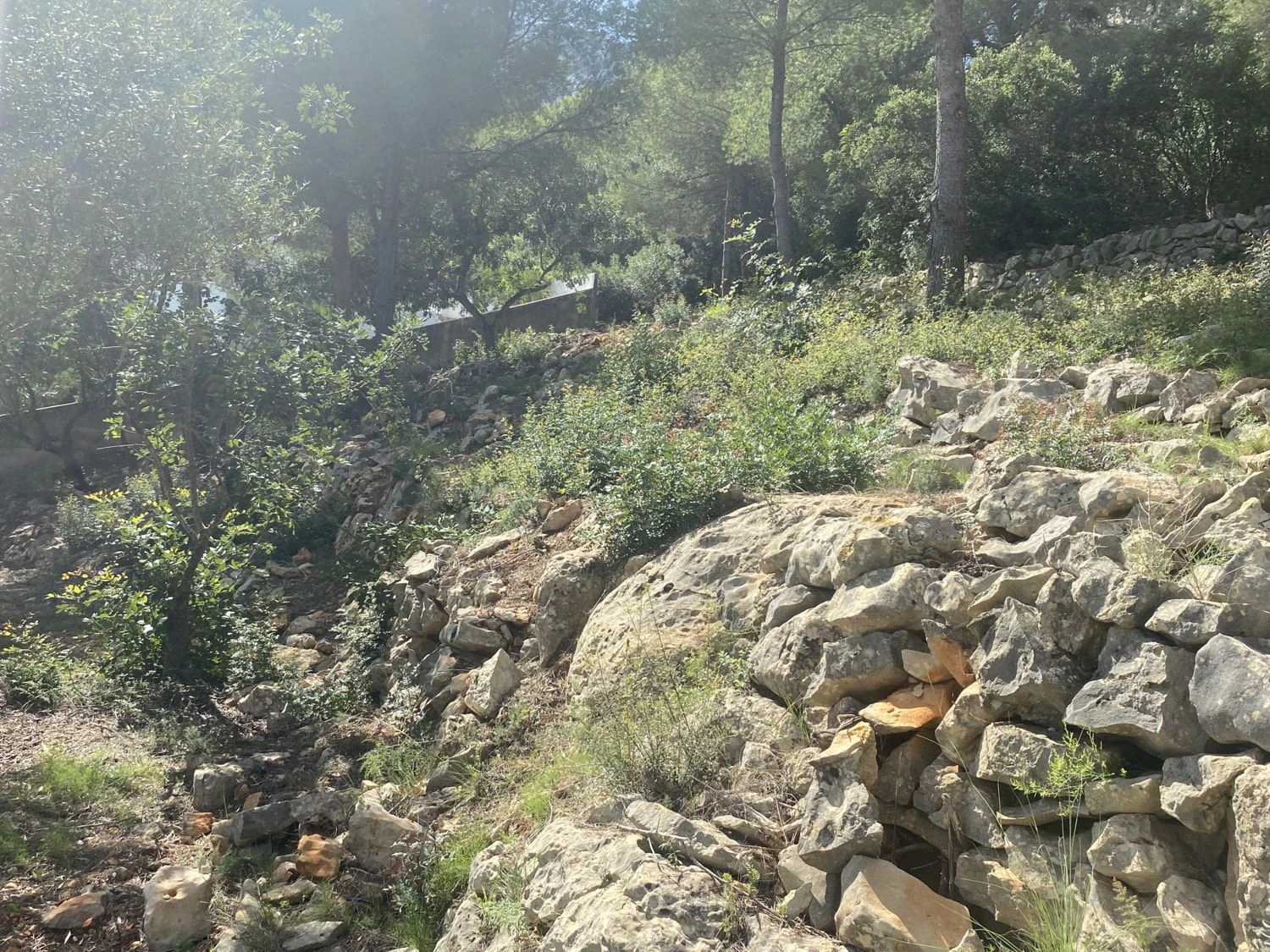 Terrain urbain avec vue sur la mer à Denia