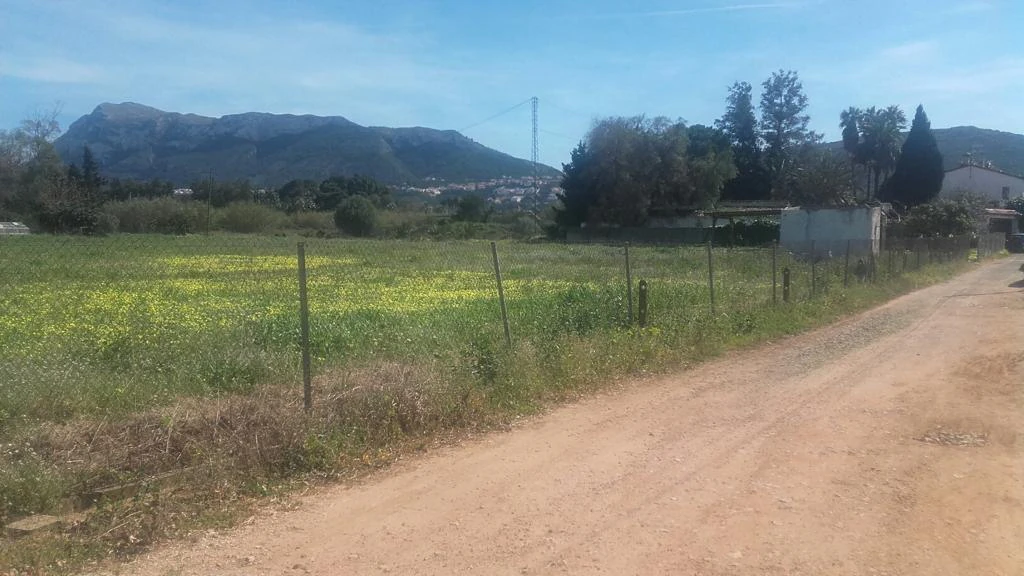 PARCELA GRANDE CON LUZ Y AGUA EN DENIA