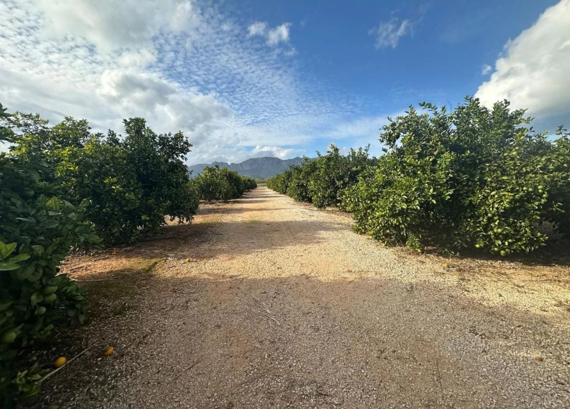 FINCA RÚSTICA EN ONDARA