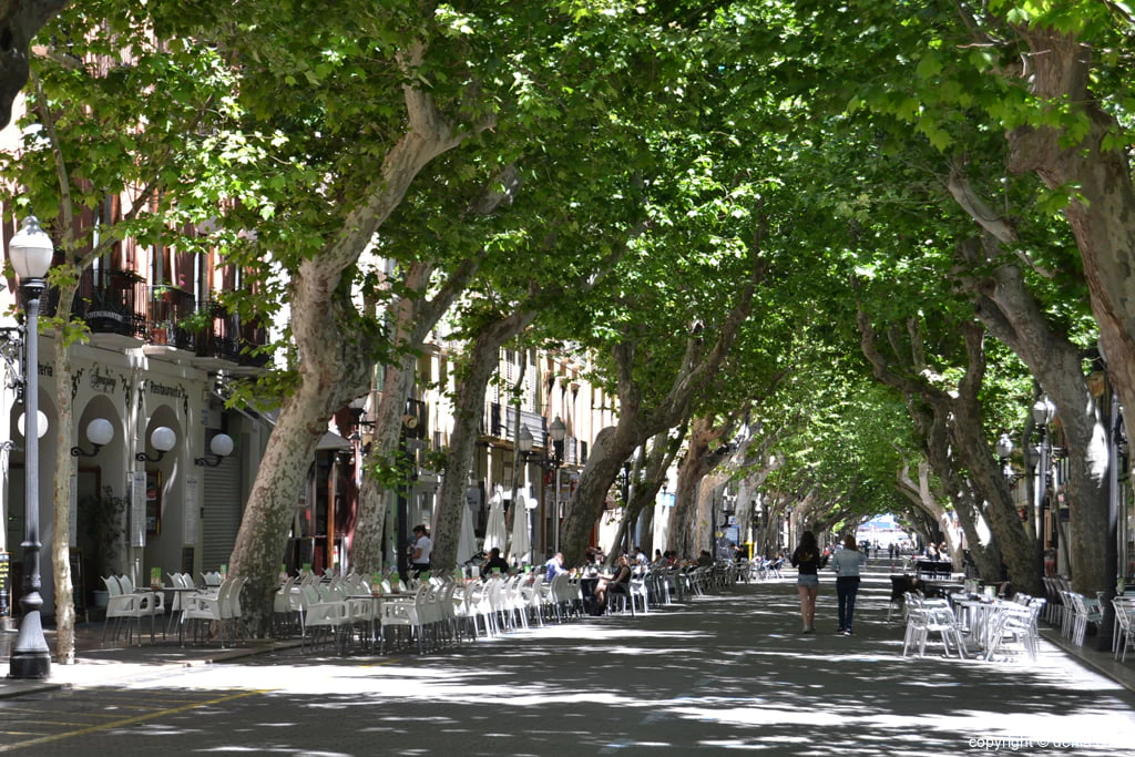 LOCAL COMERCIAL EN DENIA - MARQUES DE CAMPO