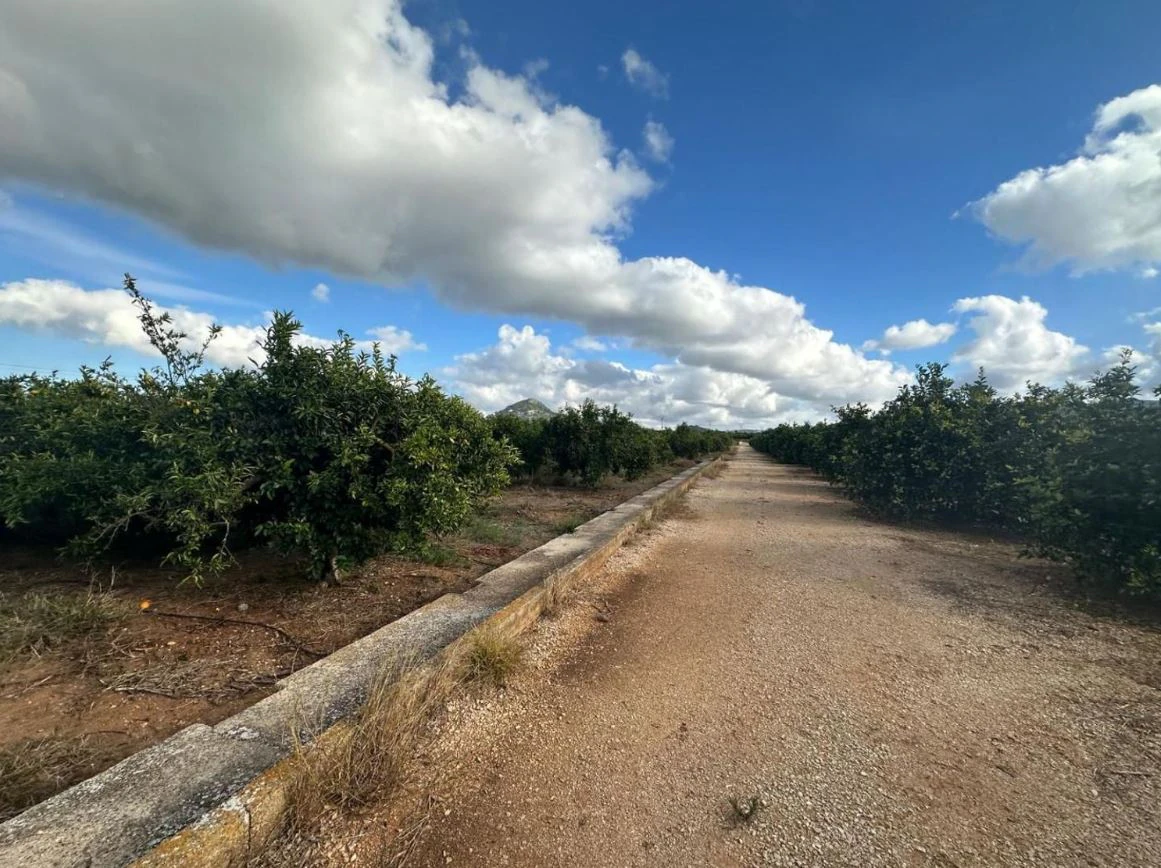 FINCA RÚSTICA EN ONDARA