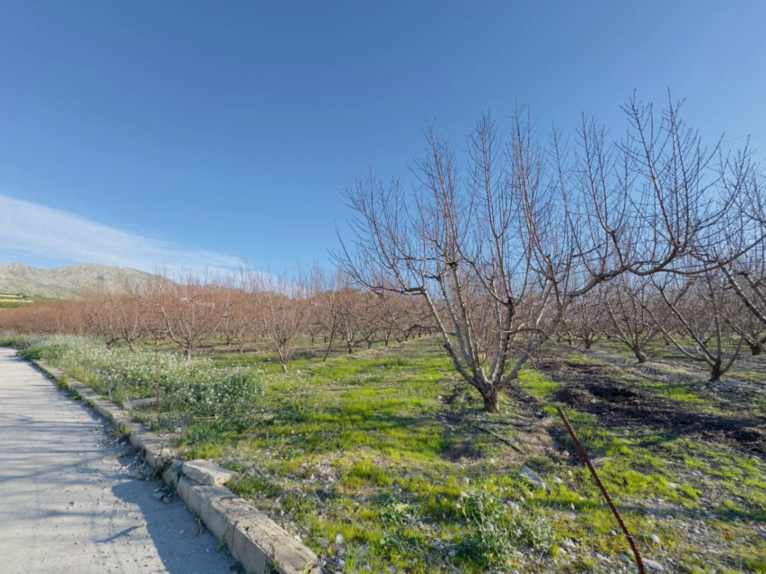 Terreno de 10000m2 urbanizable en Beniarbeig