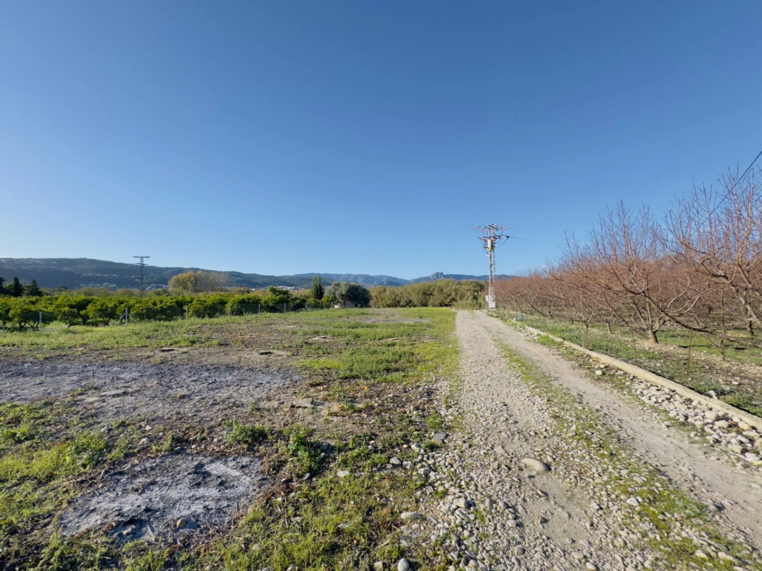 Terreno de 10000m2 urbanizable en Beniarbeig