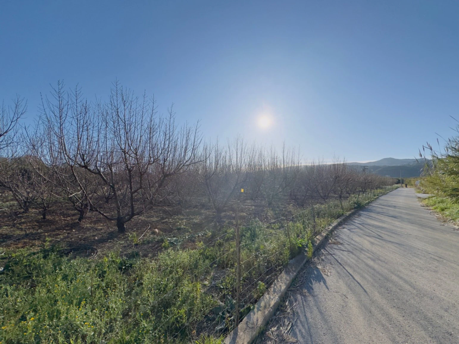 Terreno de 10000m2 urbanizable en Beniarbeig
