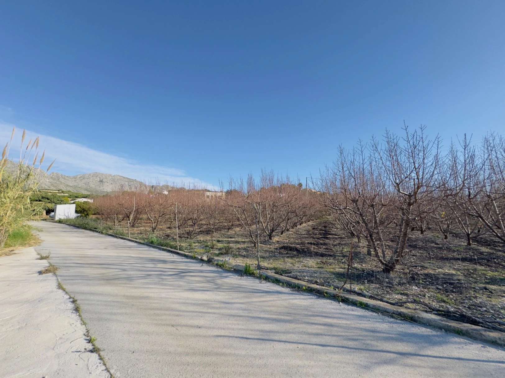 Terreno de 10000m2 urbanizable en Beniarbeig