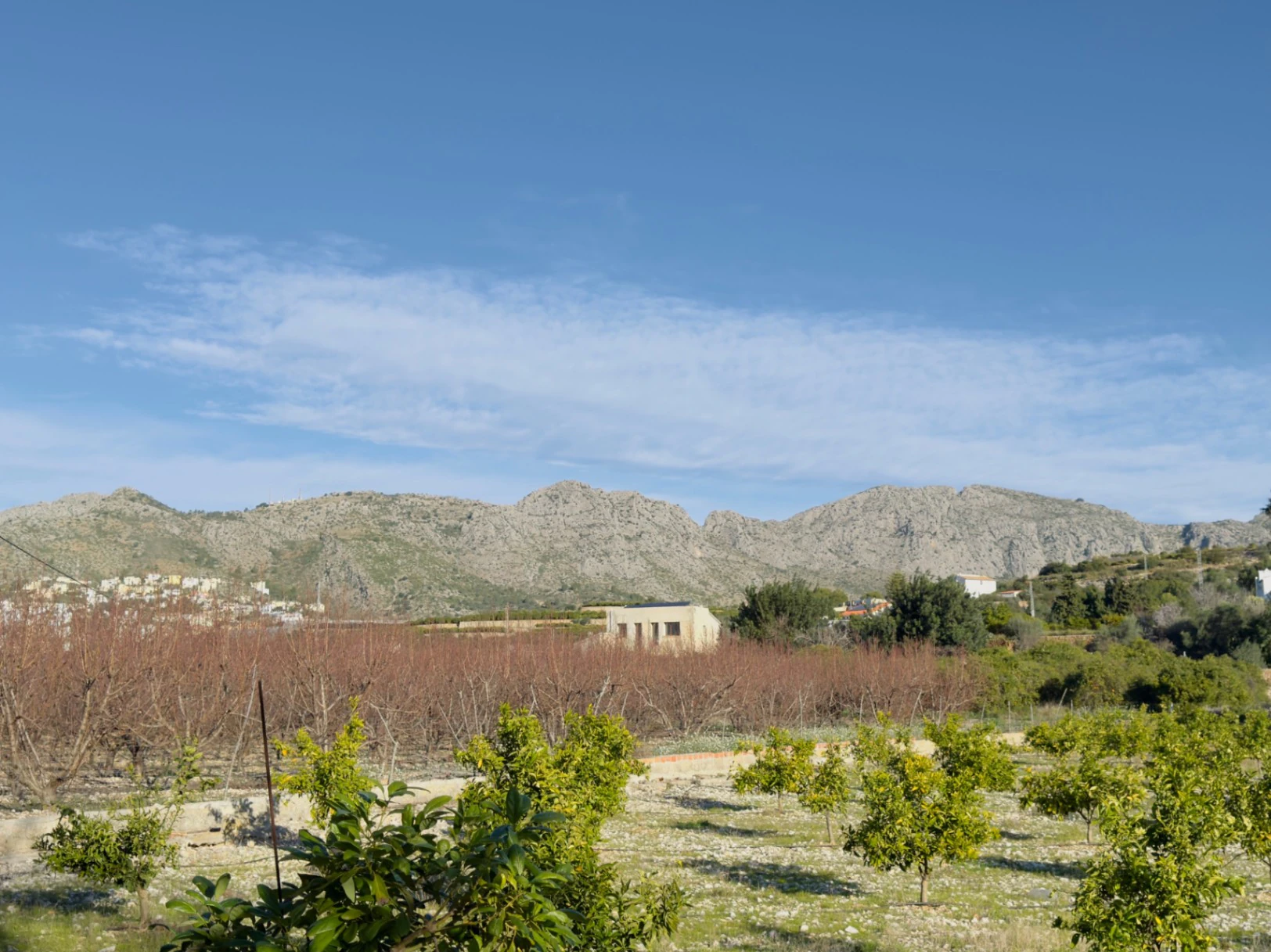 Terreno de 10000m2 urbanizable en Beniarbeig