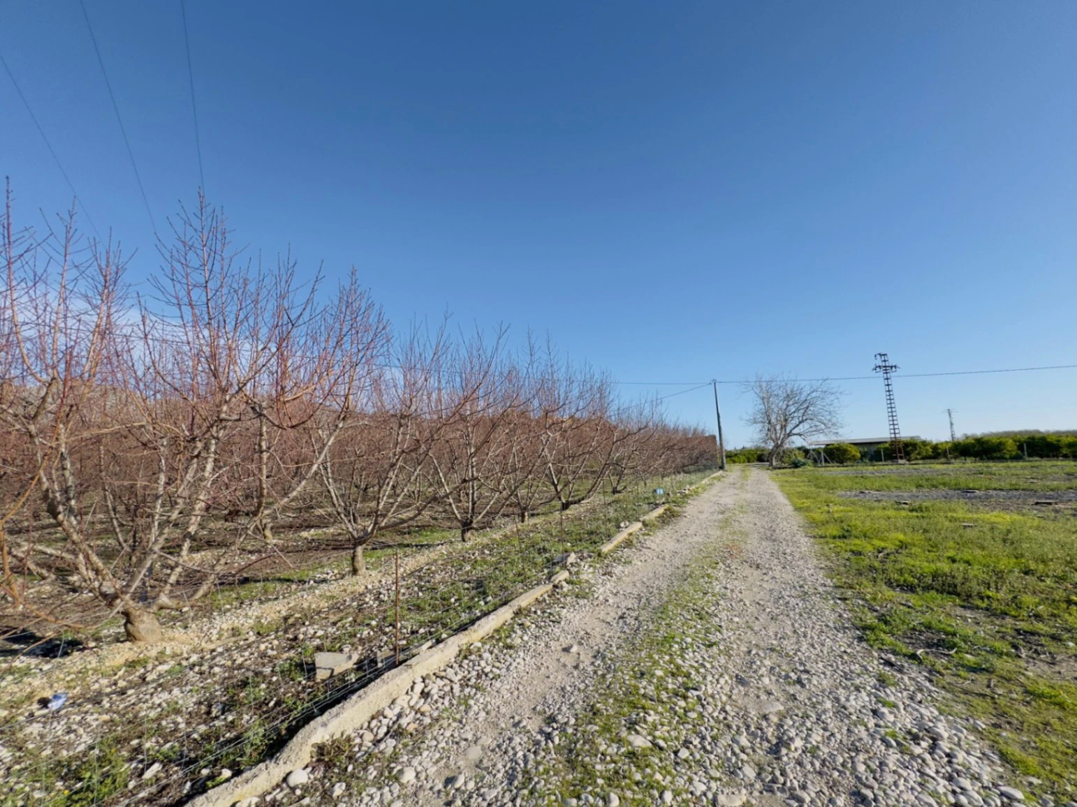 Terreno de 10000m2 urbanizable en Beniarbeig