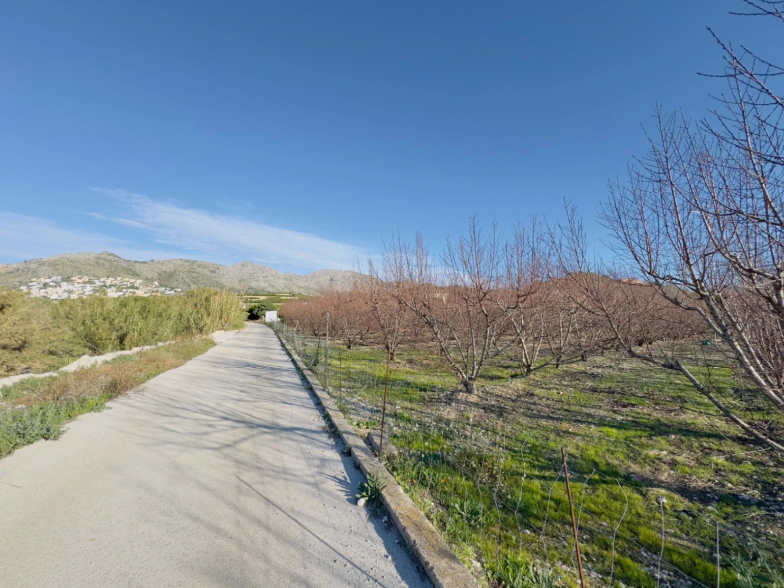 Terreno de 10000m2 urbanizable en Beniarbeig