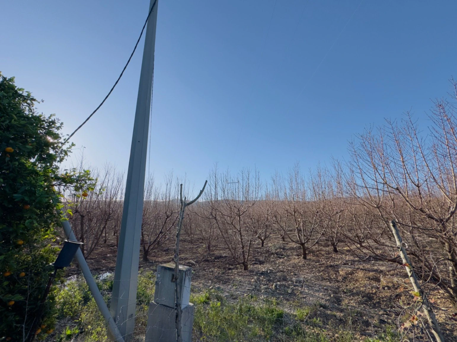 Terreno de 10000m2 urbanizable en Beniarbeig