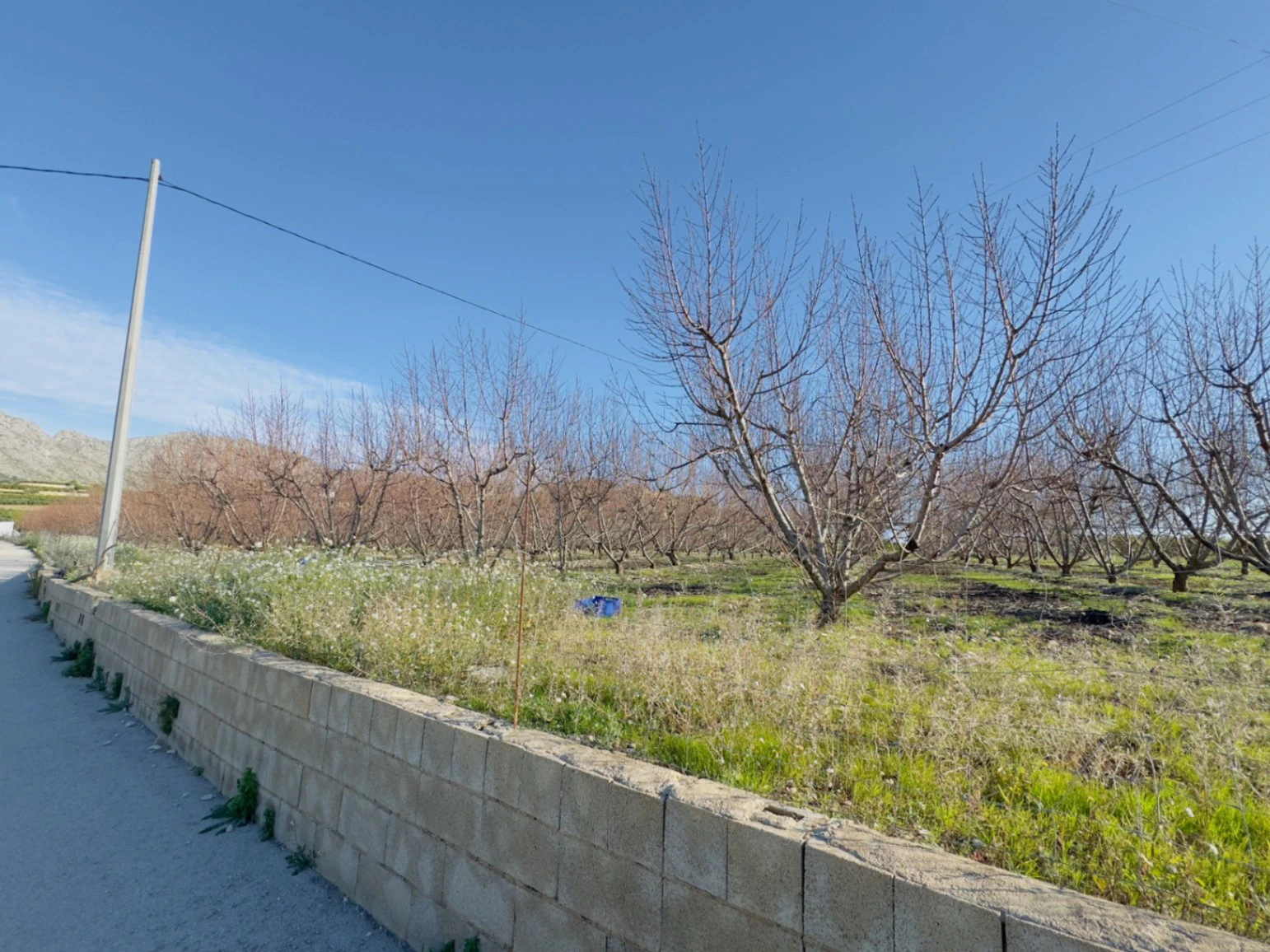 Terreno de 10000m2 urbanizable en Beniarbeig